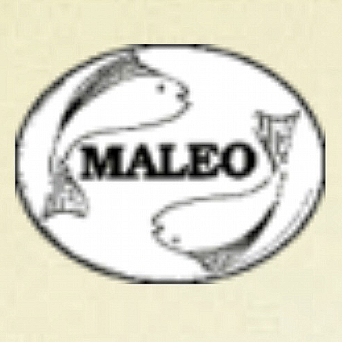 Maleopaint